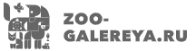 Лого Зоогалерея